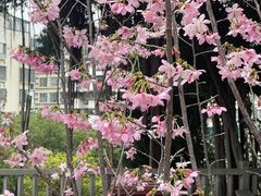 -乌山风景区