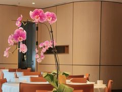 -洋洋中餐馆·SINCE 1997(龙湖星湖天街店)