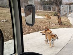 -西安秦岭野生动物园
