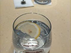 -哈根达斯(石家庄北国店)