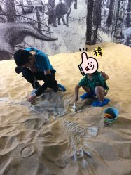 -恐龙探索乐园(磁器口店)