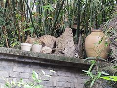 -平安桥天主教堂