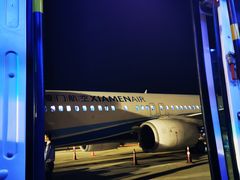 -胡志明新山一国际机场