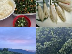 -金水泊山庄·花椒鸡(铁山坪店)