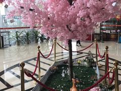 -喜运来温泉大酒店