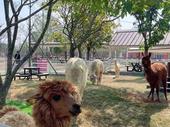 -盈香心动乐园