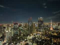 -六本木新城展望台(东京城市景观)