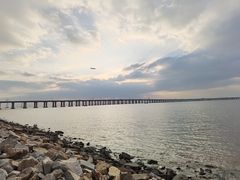 -宝安西湾红树林湿地公园