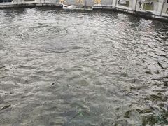 -百脉泉景区