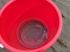 -东戴河风景区-止锚湾