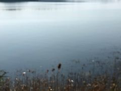 -仙海旅游度假区