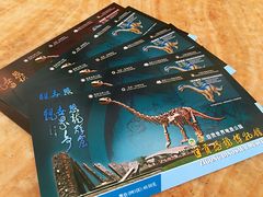 -自贡恐龙博物馆