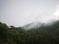 -呀诺达热带雨林