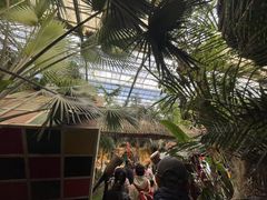 -呀路古热带植物园