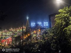 -枇杷园食为鲜火锅(南山店)