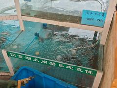 -品鲜村农家菜·阳澄湖大闸蟹(总店)