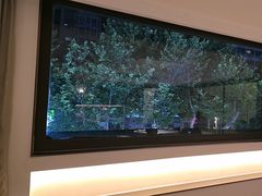 -沈灶河豚宴·河豚融合餐厅(汉中路店)