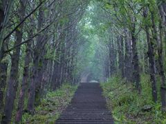 -东白山
