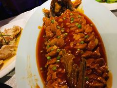 松鼠鱼-乾园(天河城店)
