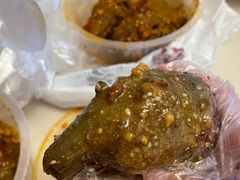 -老号尤兔头(幸福店)