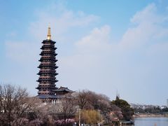 -红梅公园