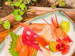 -森味薪火烧•烧鸟居酒屋•日本料理(望京店)