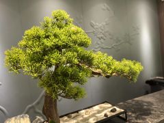 -华夏良子·足道SPA艾灸(铁道大厦店)