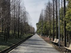 -上海长兴岛郊野公园