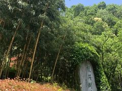 -十八棵（老龙井）御茶园(老龙井店)