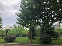 -南京航空航天大学(将军路校区)