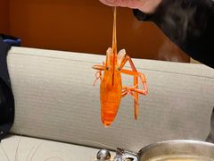 -扬州万怡酒店-中餐厅(文昌中路店)