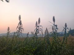 -云龙湖旅游景区