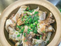 -红星光发煲仔饭(文海店)