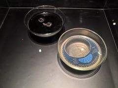 -上海当代艺术博物馆