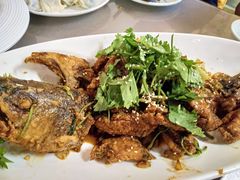 香菜烤鲈鱼-大眼锅贴饺子(河西店)