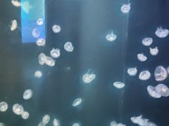-长春农业博览园