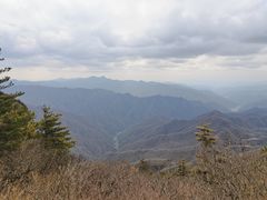 -牛背梁国家森林公园