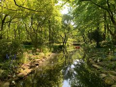 -上海共青森林公园