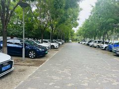 -大兴滨河森林公园