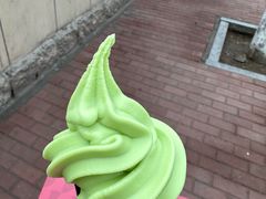 -单家老院·院子里的青岛菜(沙子口店)