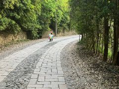 -紫金山天文台