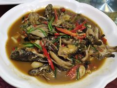 -婺源第一楼(朱子大道店)