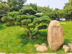-青岛海滨风景区小青岛