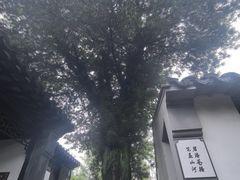-徐霞客故居