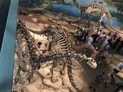 -自贡恐龙博物馆