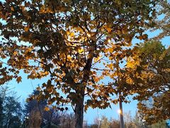 -贵阳市花溪国家城市湿地公园