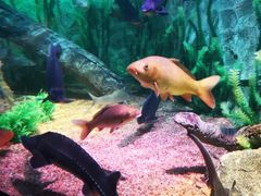 -沈阳海洋探索中心