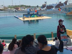 -秦皇岛乐岛海洋王国