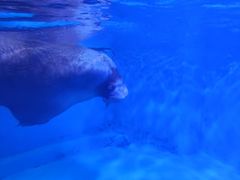 -皇家极地海洋世界-售票处