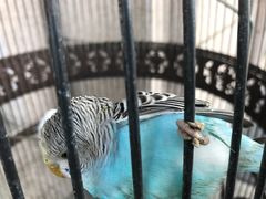 -老味道民宿(栈桥店)